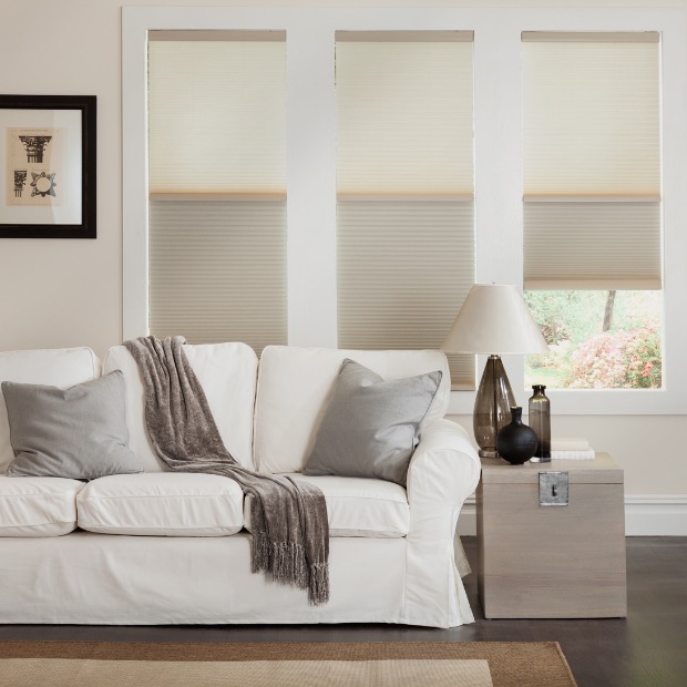 Cell shades in a Riverside living room