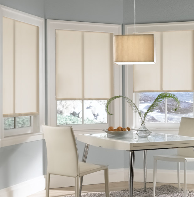 Roller shades in Riverside